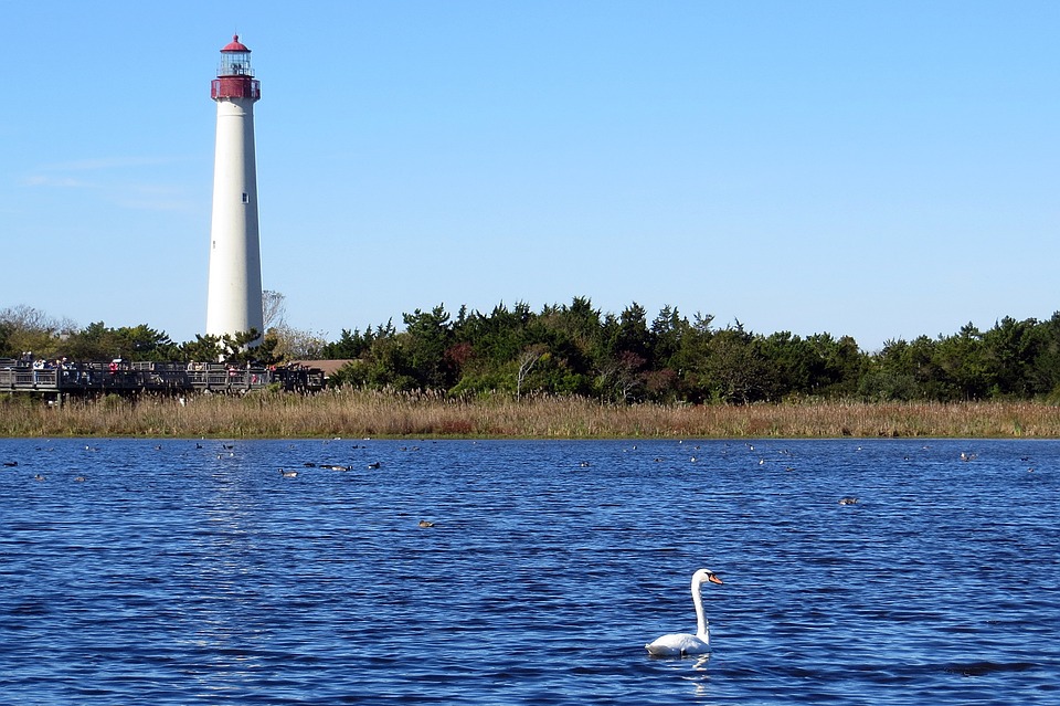 Swan Lighthouse New Jersey Cape May Wetlands 669209